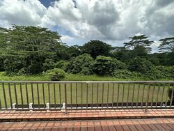 Springside Avenue (D26), Terrace #557892031
